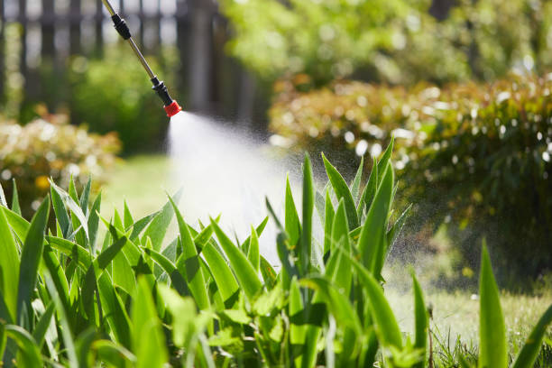 24/7 Emergency Fumigation Services experts in Cadiz, KY