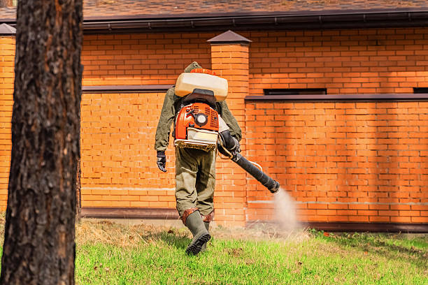 Trusted Emergency Pest Control service in Cadiz, KY - Nex Pest Control